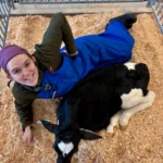 A high-angle shot of a smiling female researcher wearing a purple head wrap and blue waterproof overalls, lying down on wood shavings inside a metal pen next to a resting newborn Holstein calf.