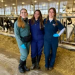 Three female veterinary researchers wearing protective coveralls, boots, and disposable gloves stand smiling in the center aisle of a large, modern free-stall dairy barn, flanked by rows of Holstein cattle feeding behind metal headlocks.