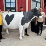 Four smiling researcgers posing outdoors next to a life-sized, decorative statue of a Holstein cow with a heart-shaped black spot on its side.