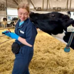 A female veterinary student holding blood sample tubes looks down with a smile as a curious Holstein cow nuzzles her shoulder in a straw-bedded barn.