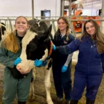 A wide-angle medium full shot of three veterinary students smiling for the camera in a modern barn. The woman on the left in teal overalls kneels, wearing blue gloves, holding the muzzle of a white and black spotted Holstein cow. Next to her, another woman in blue overalls stands, also gloved, resting her hand on the cow's neck. The third woman in blue overalls stands on the right. They all stand on a muddy, slatted floor.
