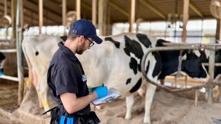 Side profile of a researcher in a navy cap and dark coveralls taking notes on a clipboard while standing next to a Holstein cow.
