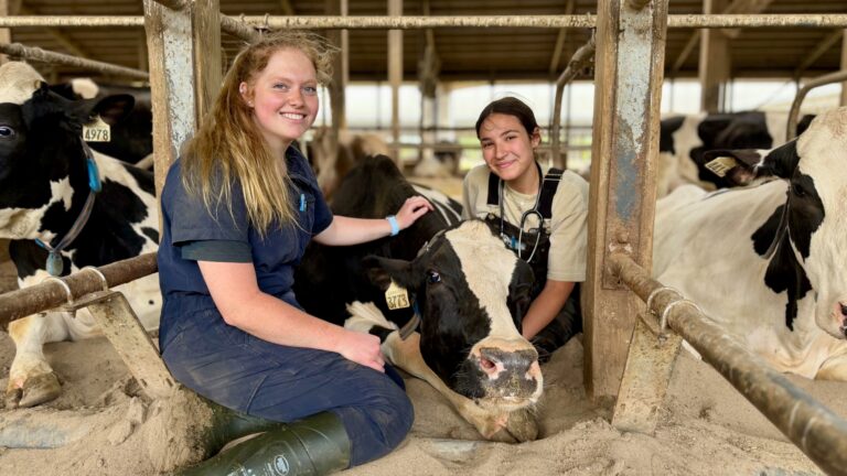 Two female researchers smiling while kneeling on sand bedding next to a resting Holstein cow in a barn stall.